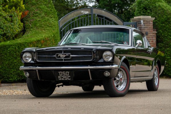 PilgrimV8-65-Fastback-Belle-088 PilgrimV8-65-Fastback-Belle-088