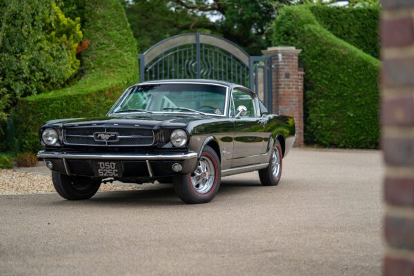 PilgrimV8-65-Fastback-Belle-089 PilgrimV8-65-Fastback-Belle-089