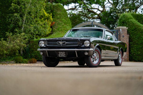 PilgrimV8-65-Fastback-Belle-090 PilgrimV8-65-Fastback-Belle-090