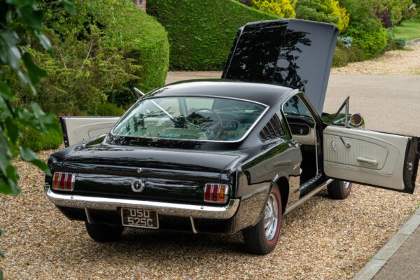 PilgrimV8-65-Fastback-Belle-091 PilgrimV8-65-Fastback-Belle-091