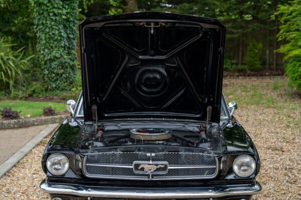 PilgrimV8-65-Fastback-Belle-092 PilgrimV8-65-Fastback-Belle-092