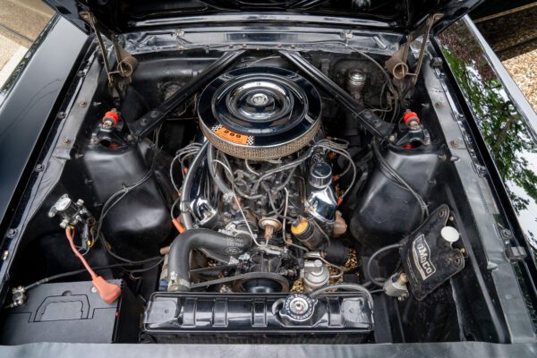 PilgrimV8-65-Fastback-Belle-093 PilgrimV8-65-Fastback-Belle-093