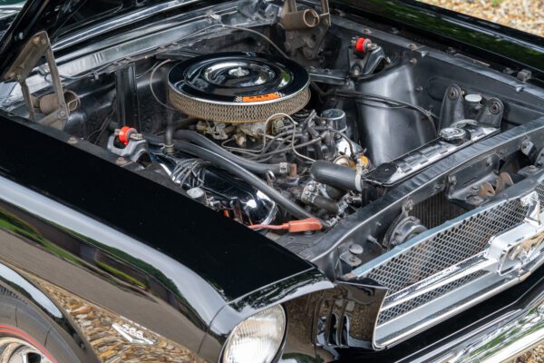 PilgrimV8-65-Fastback-Belle-096 PilgrimV8-65-Fastback-Belle-096