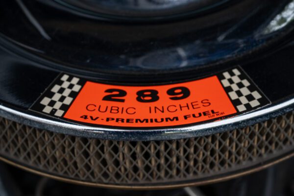 PilgrimV8-65-Fastback-Belle-098 PilgrimV8-65-Fastback-Belle-098