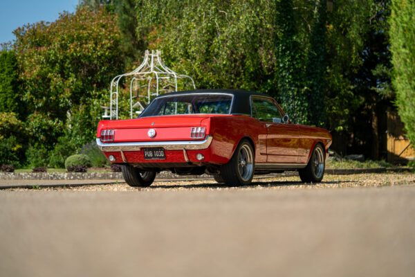 PilgrimV8-66-Mustang-332-05 PilgrimV8-66-Mustang-332-05