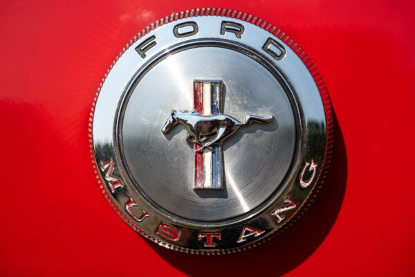 PilgrimV8-66-Mustang-332-18 PilgrimV8-66-Mustang-332-18