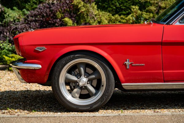 PilgrimV8-66-Mustang-332-20 PilgrimV8-66-Mustang-332-20