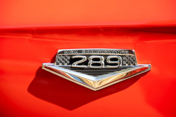 PilgrimV8-66-Mustang-332-21 PilgrimV8-66-Mustang-332-21