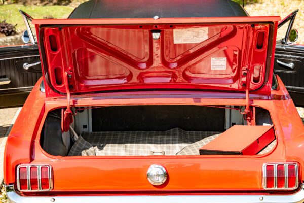 PilgrimV8-66-Mustang-332-31 PilgrimV8-66-Mustang-332-31