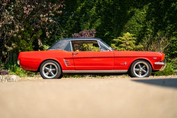 PilgrimV8-66-Mustang-332-33 PilgrimV8-66-Mustang-332-33