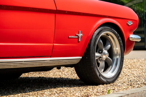 PilgrimV8-66-Mustang-332-37 PilgrimV8-66-Mustang-332-37