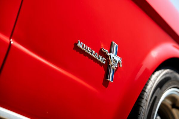 PilgrimV8-66-Mustang-332-38 PilgrimV8-66-Mustang-332-38