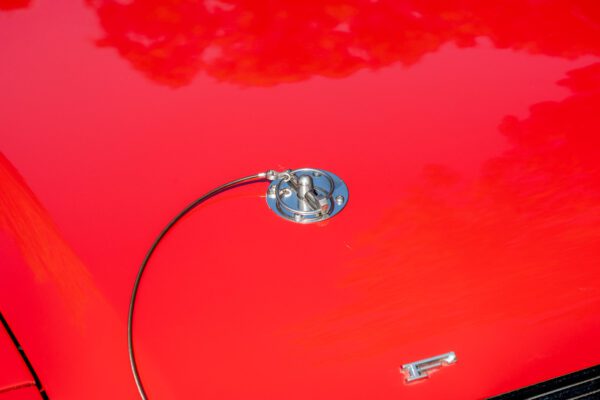 PilgrimV8-66-Mustang-332-41 PilgrimV8-66-Mustang-332-41