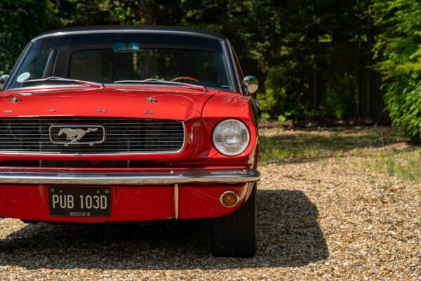 PilgrimV8-66-Mustang-332-43 PilgrimV8-66-Mustang-332-43