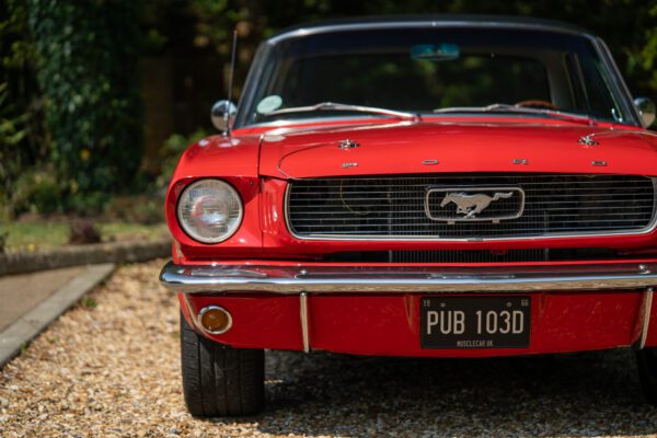 PilgrimV8-66-Mustang-332-44 PilgrimV8-66-Mustang-332-44