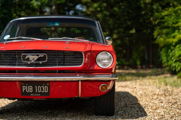 PilgrimV8-66-Mustang-332-45 PilgrimV8-66-Mustang-332-45