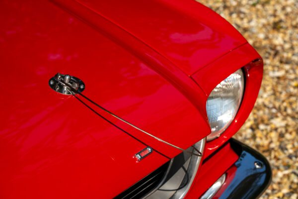 PilgrimV8-66-Mustang-332-49 PilgrimV8-66-Mustang-332-49