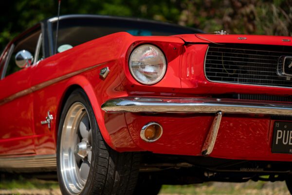 PilgrimV8-66-Mustang-332-53 PilgrimV8-66-Mustang-332-53