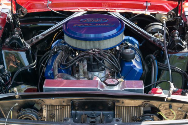 PilgrimV8-66-Mustang-332-82 PilgrimV8-66-Mustang-332-82