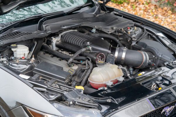 Ford Mustang GT 860_-072 Ford Mustang GT 860_-072