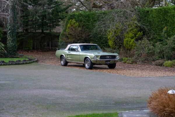 PV8-Mustang289-Conv-Green-75 PV8-Mustang289-Conv-Green-75