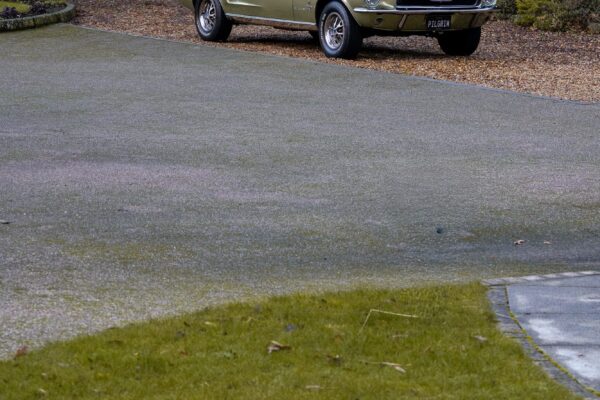 PV8-Mustang289-Conv-Green-76 PV8-Mustang289-Conv-Green-76