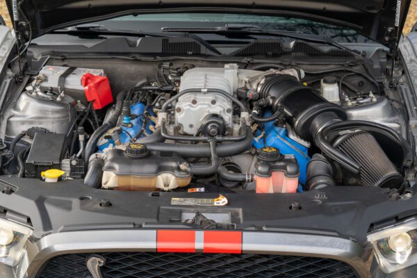 PilgrimV8-ShelbyGT500_s500-016 PilgrimV8-ShelbyGT500_s500-016