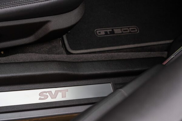 PilgrimV8-ShelbyGT500_s500-051 PilgrimV8-ShelbyGT500_s500-051