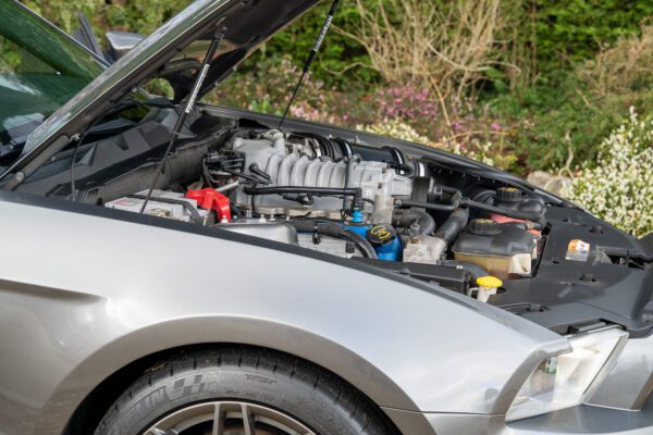 PilgrimV8-ShelbyGT500_s500-069 PilgrimV8-ShelbyGT500_s500-069