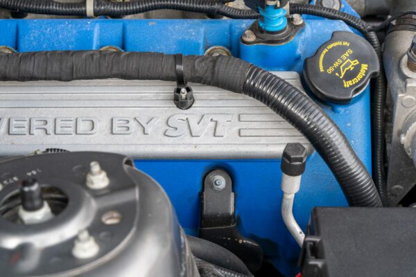 PilgrimV8-ShelbyGT500_s500-070 PilgrimV8-ShelbyGT500_s500-070