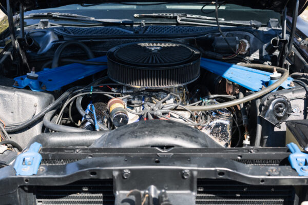 R6II1196 R6II1196