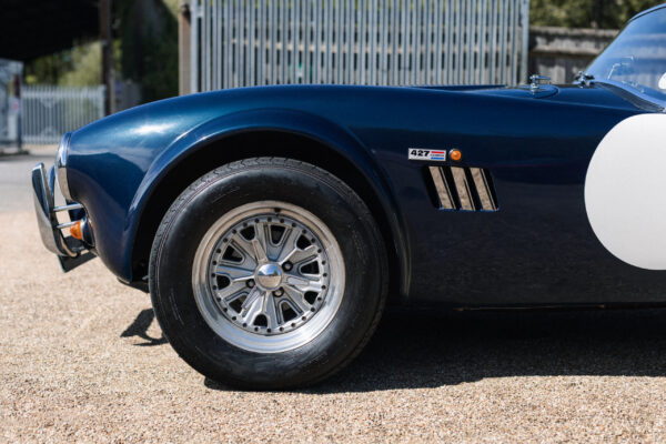R6II1951 R6II1951
